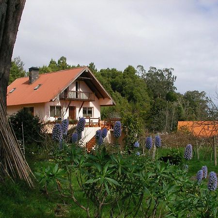 Bio Quinta Do Pantano, Agro Turismo Villa Santo Antonio da Serra Exterior photo