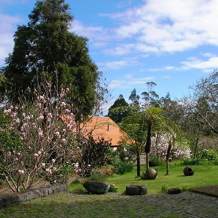 Bio Quinta Do Pantano, Agro Turismo Villa Santo Antonio da Serra Exterior photo