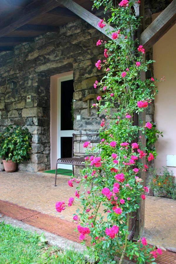 Bio Quinta Do Pantano, Agro Turismo Villa Santo Antonio da Serra Exterior photo