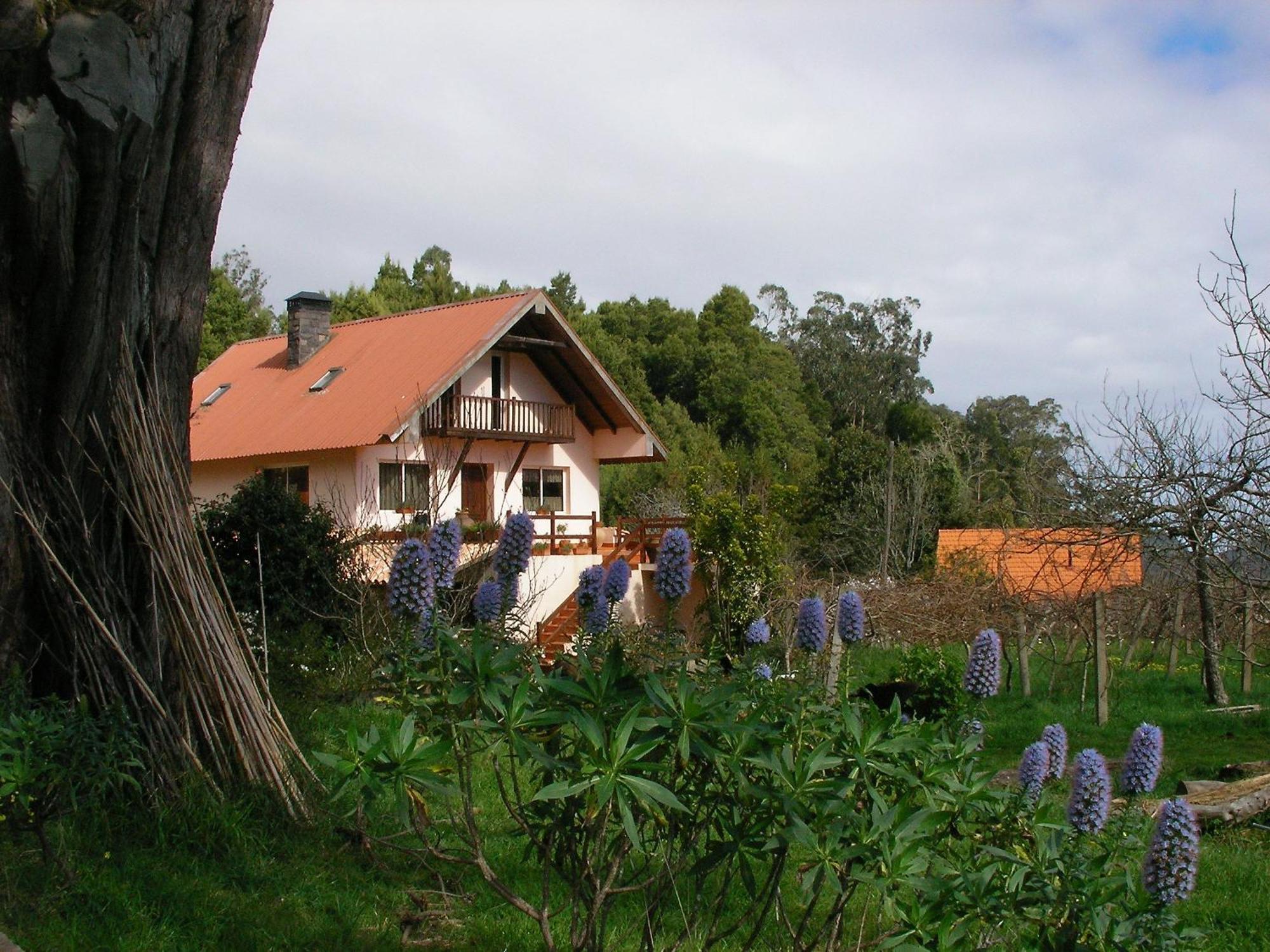 Bio Quinta Do Pantano, Agro Turismo Villa Santo Antonio da Serra Exterior photo